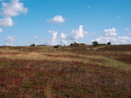 Gravhoeje-Kongenshus-Mindepark-IMGP8344